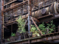 /album/ostrava/e-8-jpg/